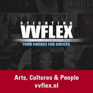 vvflexarts1-300x300
